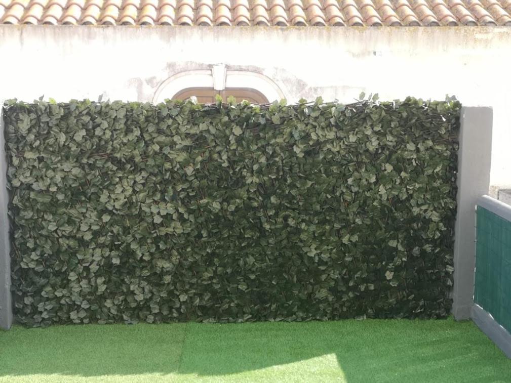 Residencial S Juliao Al Hotel Figueira da Foz Eksteriør billede
